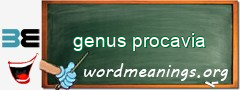 WordMeaning blackboard for genus procavia